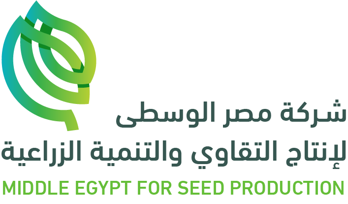 OUN Egypt for the organization of international conferences and exhibitions